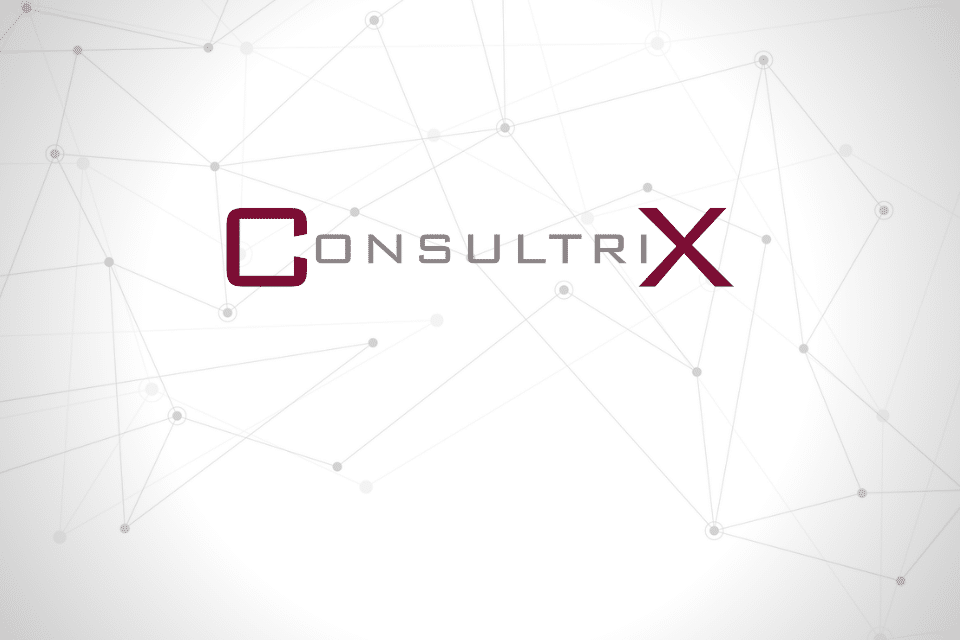 Consultrix - IT in 13 woorden